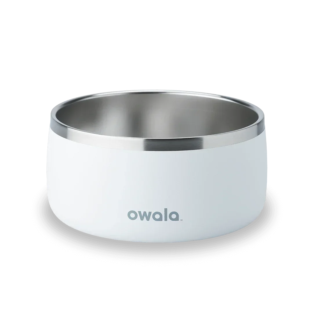 Owala stainless steel white pet bowl
