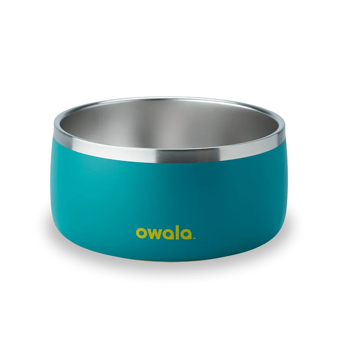 Owala stainless steel blue green pet bowl