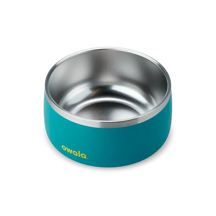 Owala stainless steel blue green pet bowl top down view