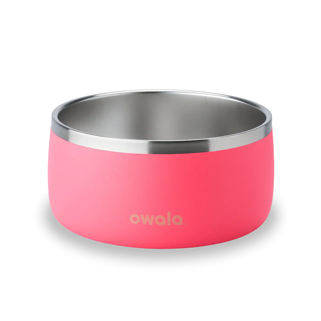 Owala stainless steel pink pet bowl